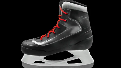 Bauer Expedition